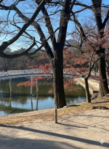 passerelle sensibilisation