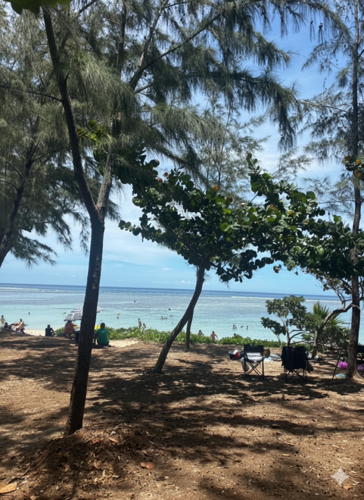 plage arbre océan hypnosens