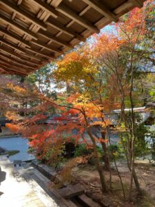 zen érable du Japon stop cigarette