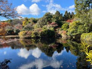lac reflet image de soi